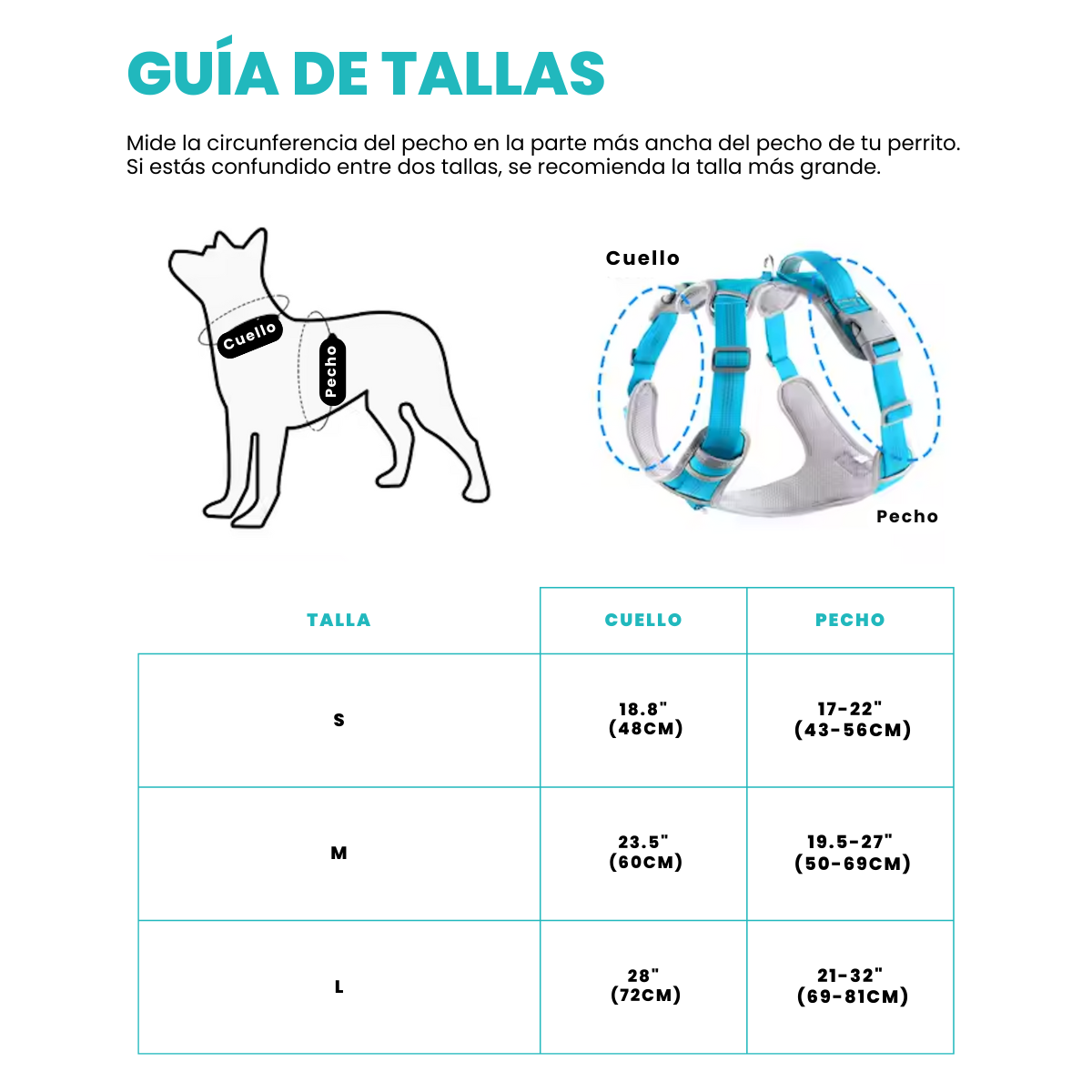Pechera Beagle