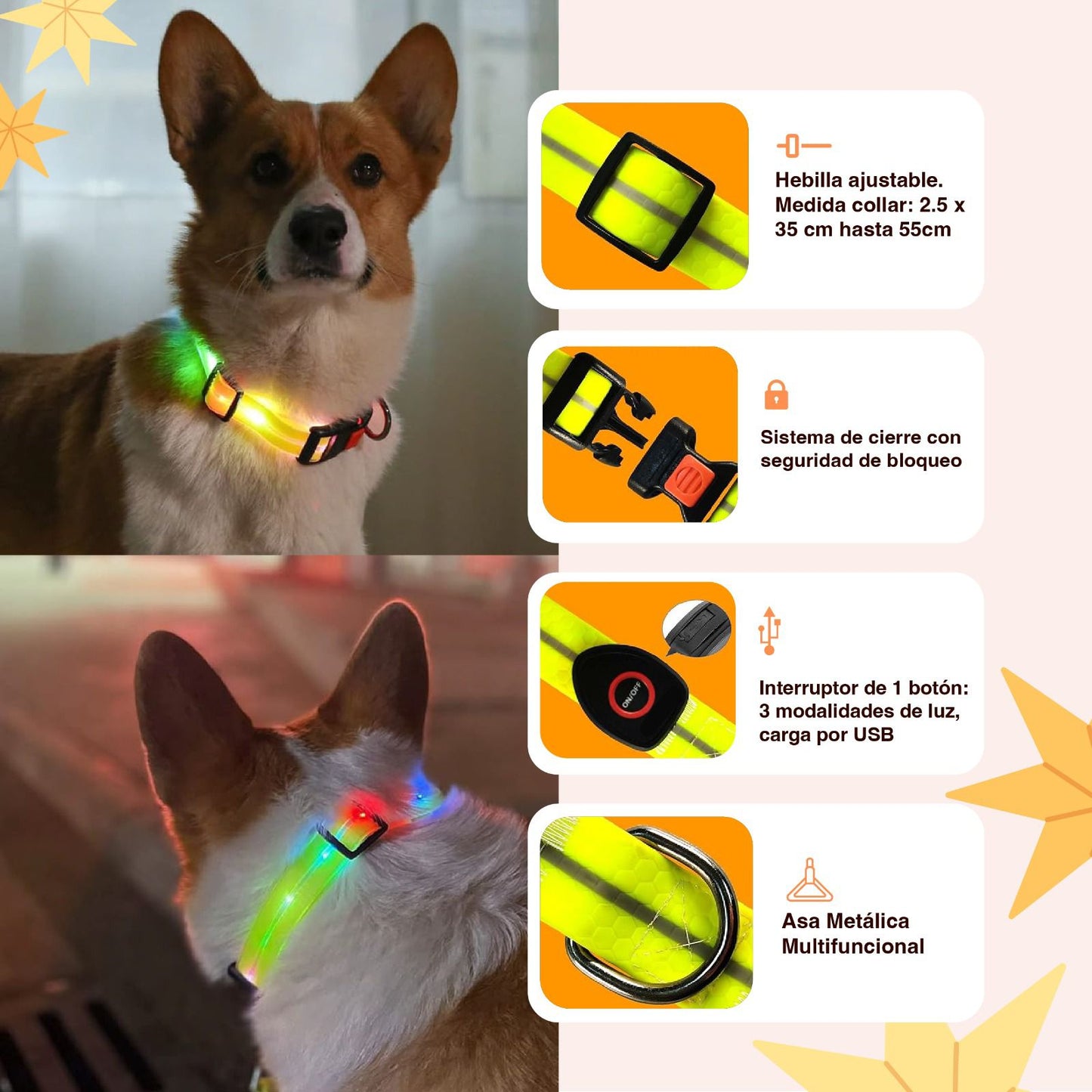 Collar Golden LED