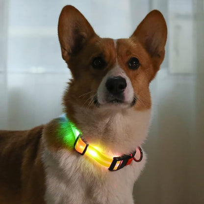 Collar Golden LED