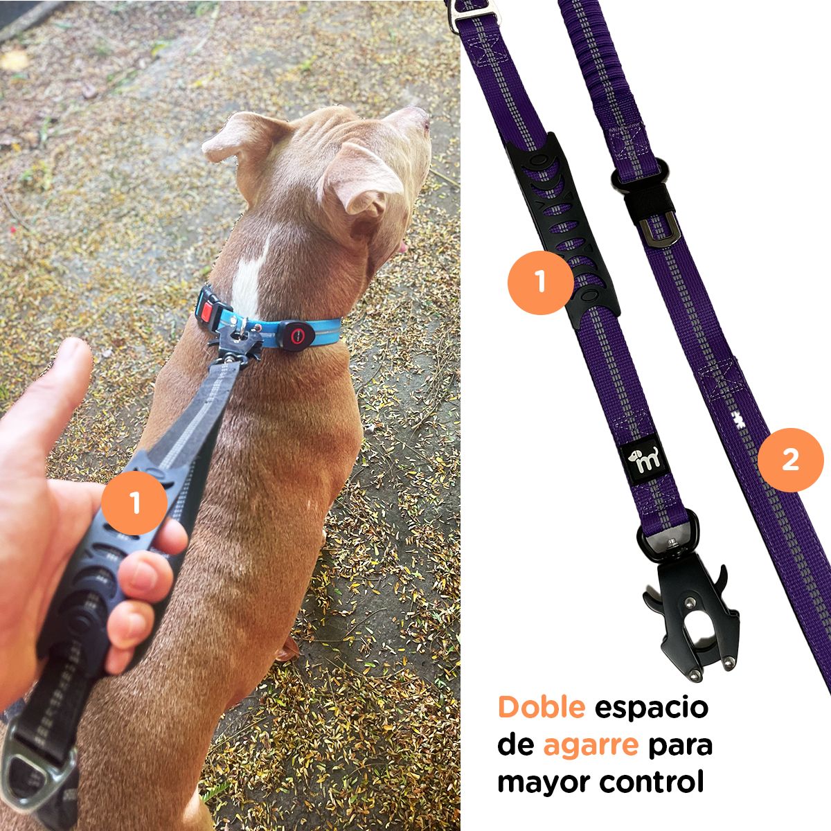 Correa TodoTerreno