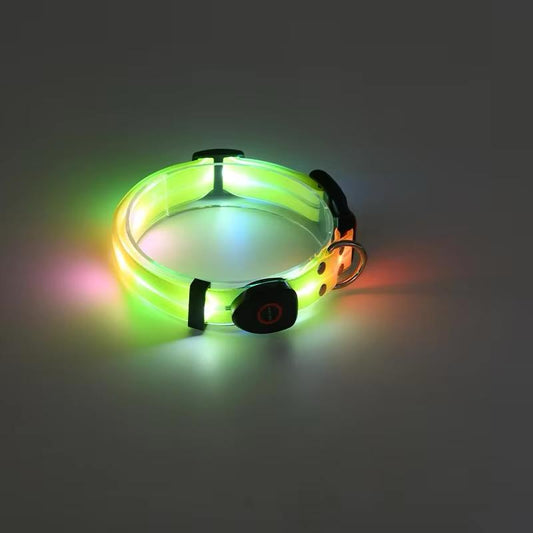 Collar Golden LED
