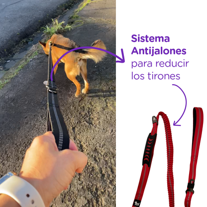 Correa TodoTerreno